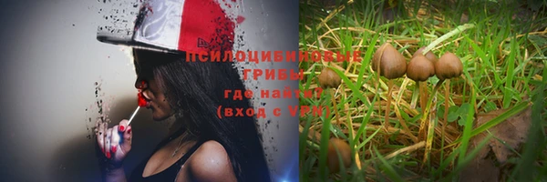 прущие грибы Навашино