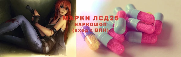 прущие грибы Навашино