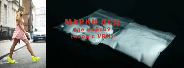 прущие грибы Навашино