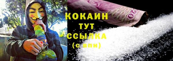 прущие грибы Навашино