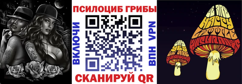 купить  сайты  Балашиха  Псилоцибиновые грибы прущие грибы 