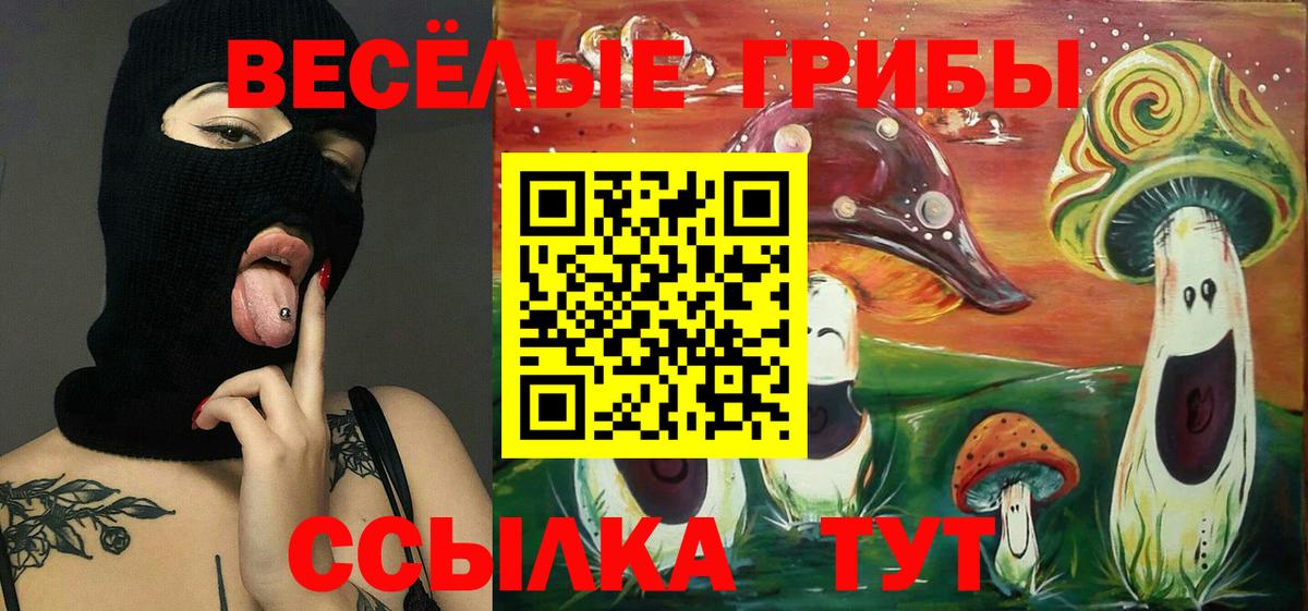 Балашиха  Псилоцибиновые грибы MAGIC MUSHROOMS  Вход с VPN 