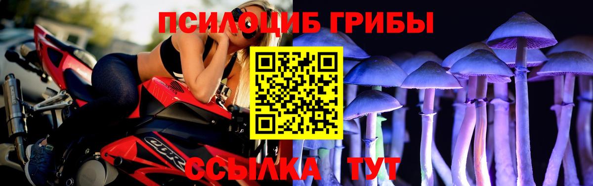 Псилоцибиновые грибы Cubensis Балашиха