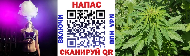 Каннабис Bruce Banner  где продают   mega ТОР  Балашиха 